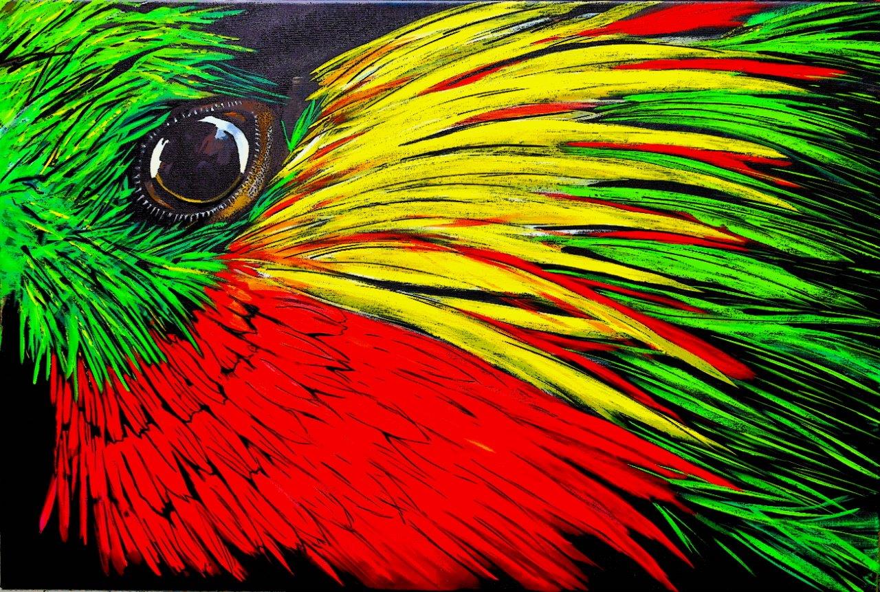 Colored Bird